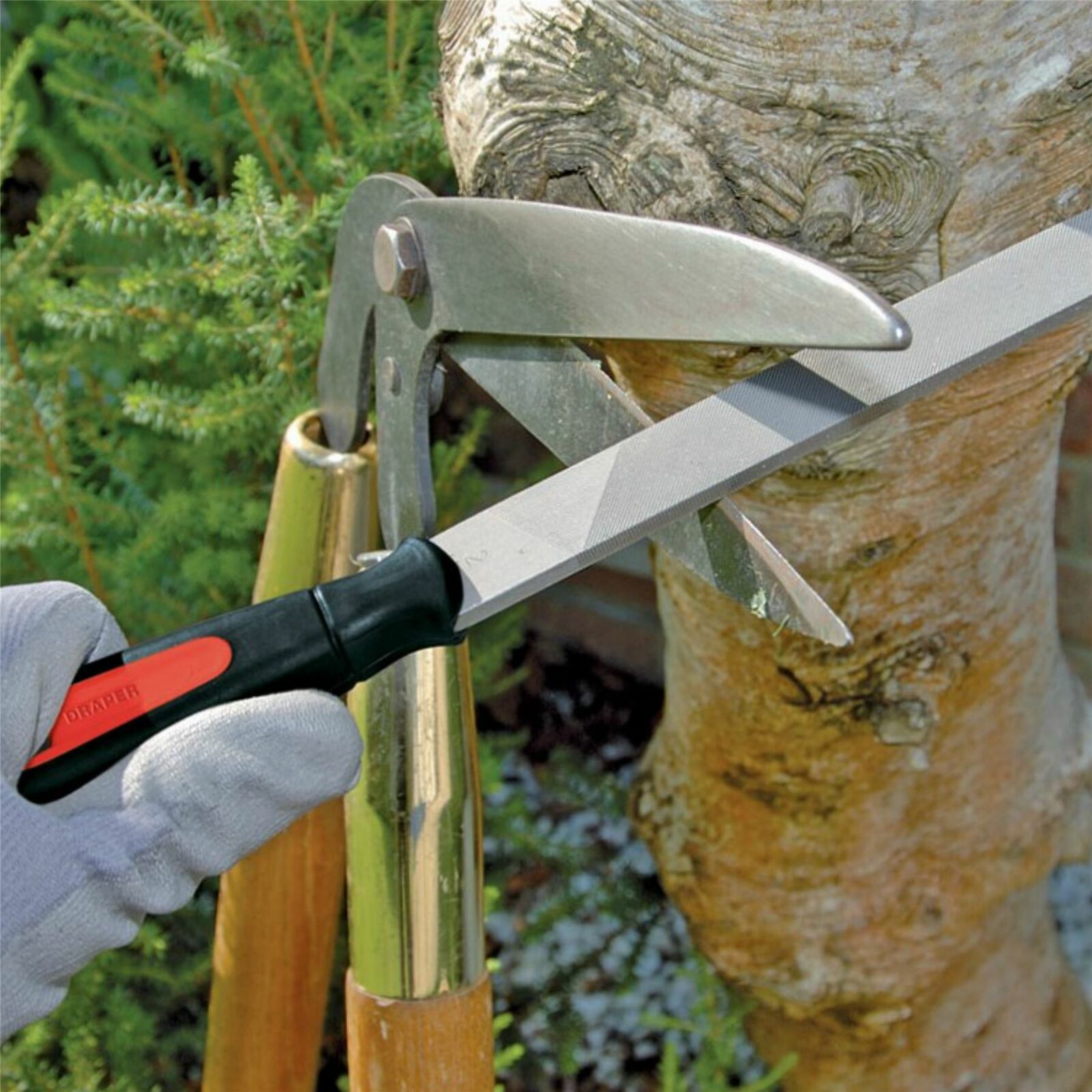 Draper Engineers Hand Needle File Tool Set with Black Canvas Carrying Case 16 Pc Draper Engineers Hand Needle File Tool Set with Black Canvas Carrying Case 16 Pc